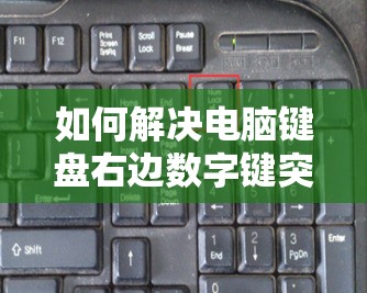 如何解决电脑键盘右边数字键突然失灵问题？