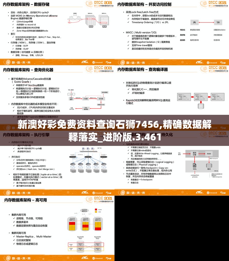 新澳好彩免费资料查询石狮7456,精确数据解释落实_进阶版.3.461