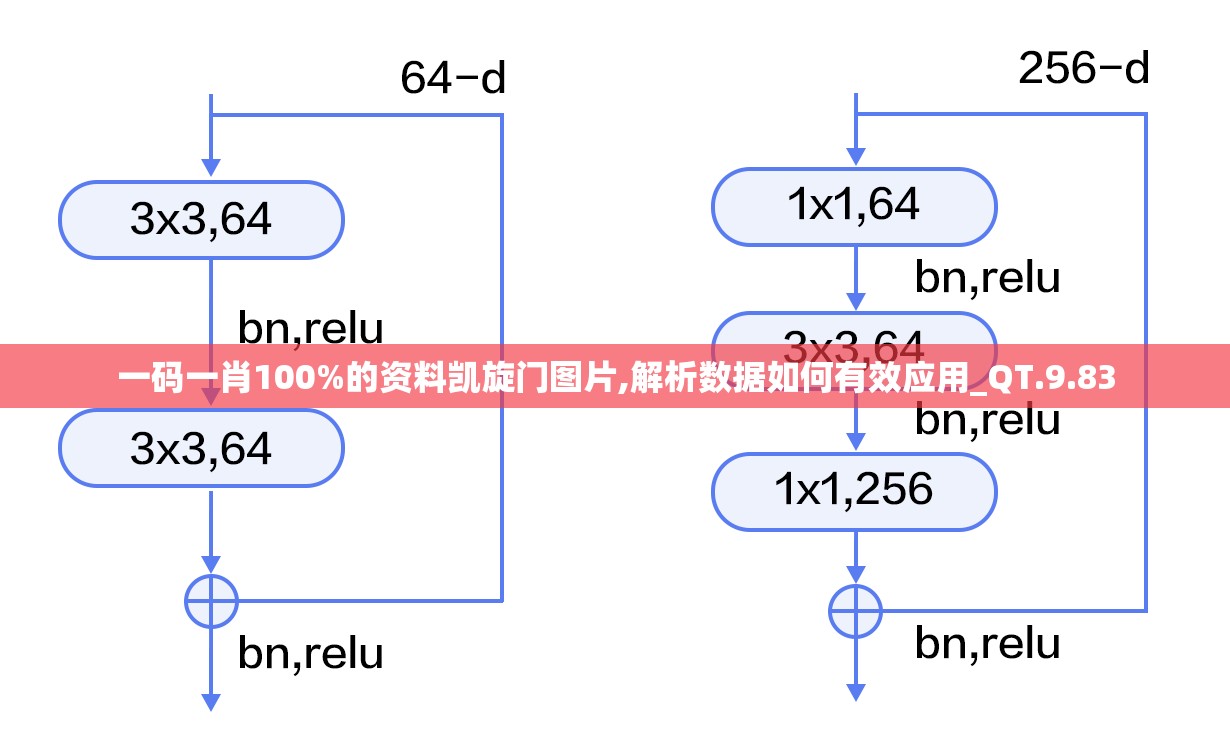 (大掌门是哪个公司的)大掌门粉丝圈层解析，揭秘粉丝群体的多元构成与独特魅力