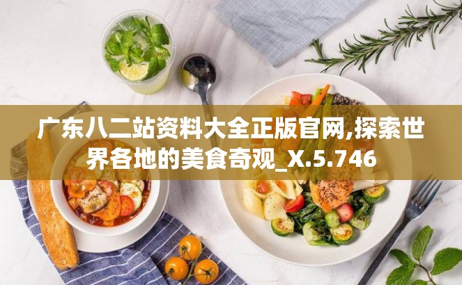 广东八二站资料大全正版官网,探索世界各地的美食奇观_X.5.746