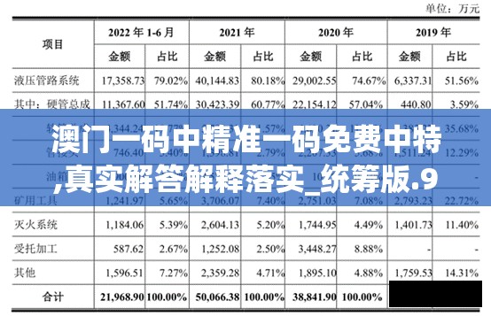 澳门一码中精准一码免费中特,真实解答解释落实_统筹版.9.783