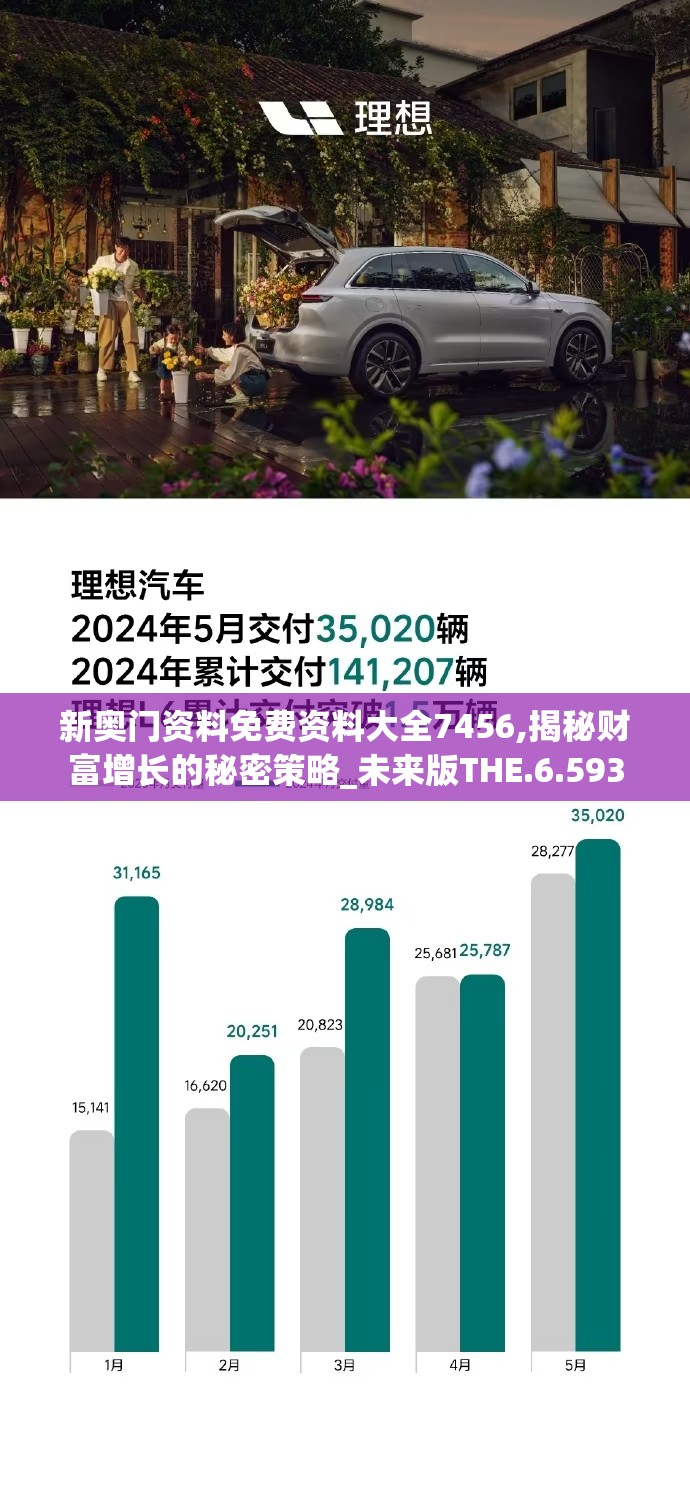 新奥门资料免费资料大全7456,揭秘财富增长的秘密策略_未来版THE.6.593