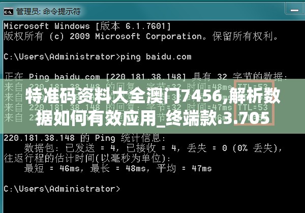 特准码资料大全澳门7456,解析数据如何有效应用_终端款.3.705