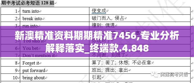 新澳精准资料期期精准7456,专业分析解释落实_终端款.4.848