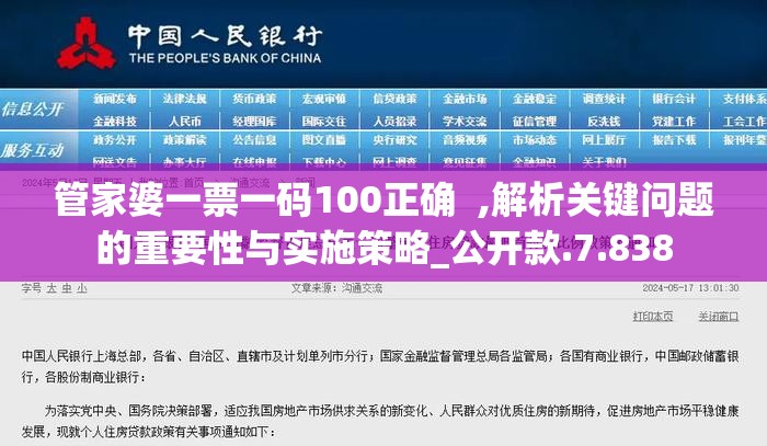 管家婆一票一码100正确  ,解析关键问题的重要性与实施策略_公开款.7.838