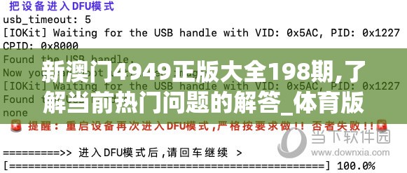 新澳门4949正版大全198期,了解当前热门问题的解答_体育版.7.987