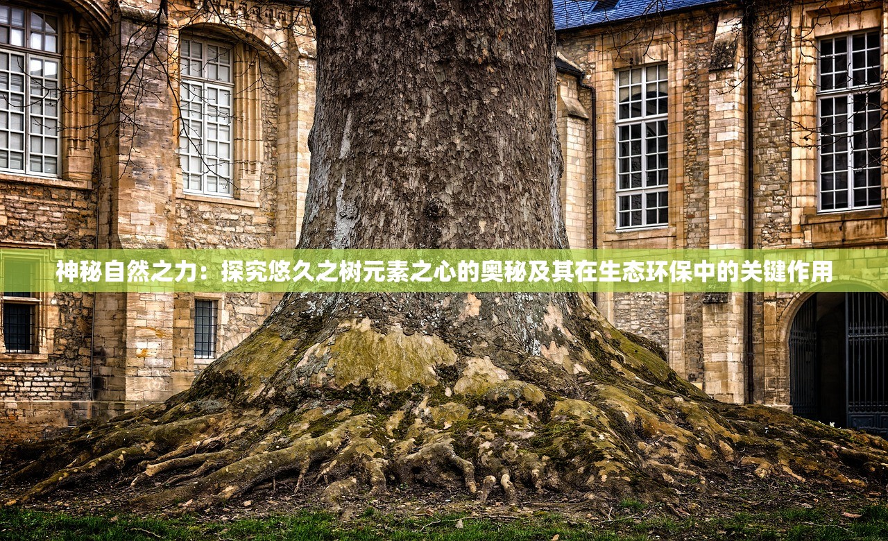 (缥缈情缘角色攻略大全图文)缥缈情缘角色攻略大全，深度解析，助你轻松闯荡江湖