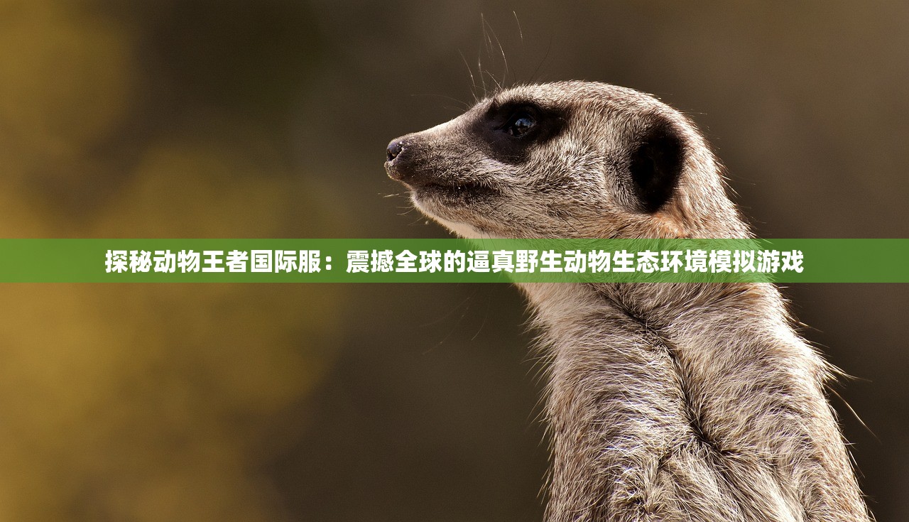 (西游诛妖录游戏简介)西游诛妖录，穿越时空的奇幻冒险之旅，探寻游戏魅力所在