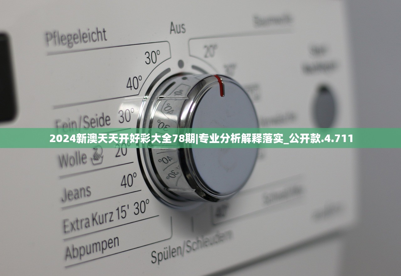 2024新澳天天开好彩大全78期|专业分析解释落实_公开款.4.711