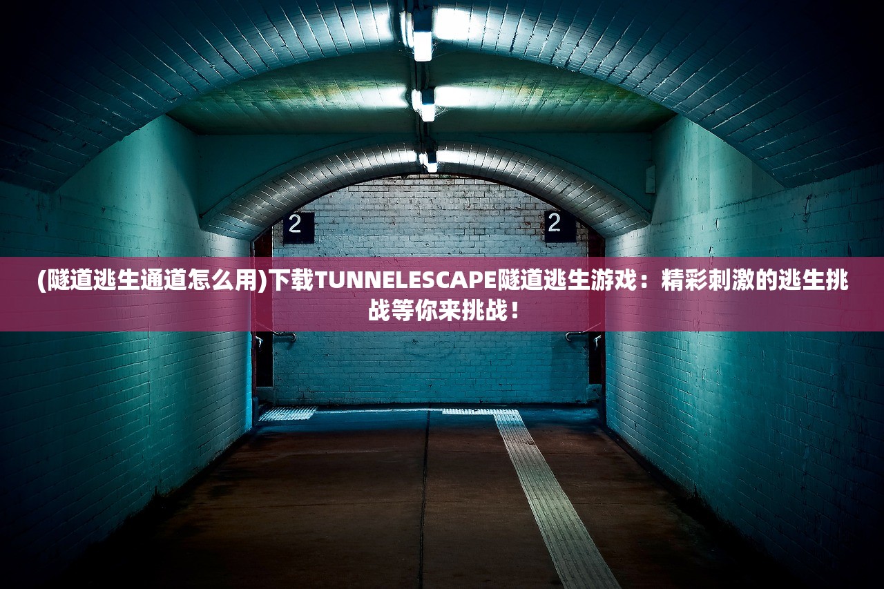 (隧道逃生通道怎么用)下载TUNNELESCAPE隧道逃生游戏：精彩刺激的逃生挑战等你来挑战！