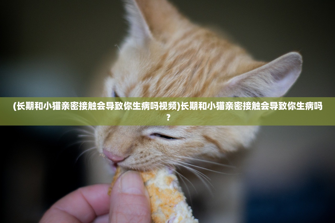 (长期和小猫亲密接触会导致你生病吗视频)长期和小猫亲密接触会导致你生病吗？