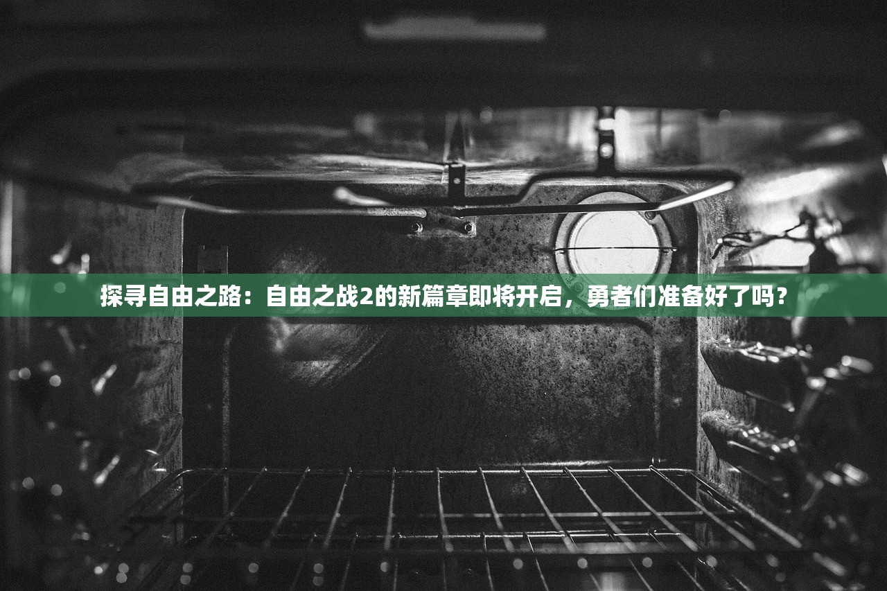 探寻自由之路：自由之战2的新篇章即将开启，勇者们准备好了吗？