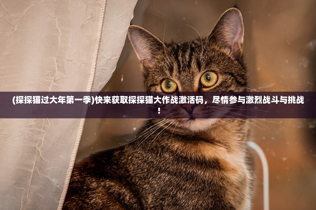 (探探猫过大年第一季)快来获取探探猫大作战激活码，尽情参与激烈战斗与挑战！