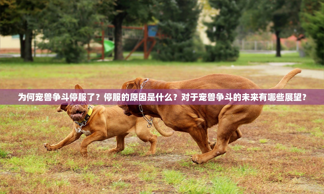 (虫群之心任务攻略)全面解析虫群之心战役成就攻略：助你轻松达成所有挑战与目标