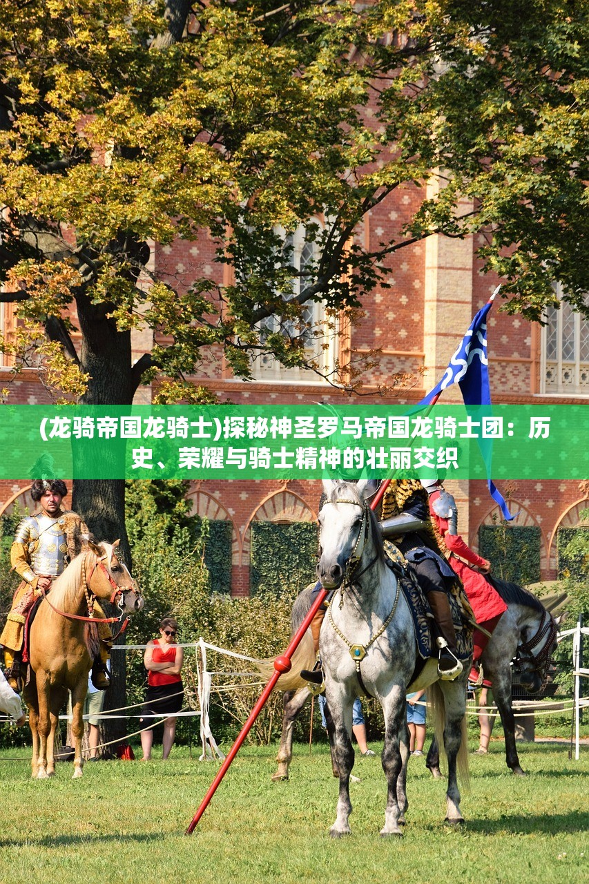 (龙骑帝国龙骑士)探秘神圣罗马帝国龙骑士团：历史、荣耀与骑士精神的壮丽交织