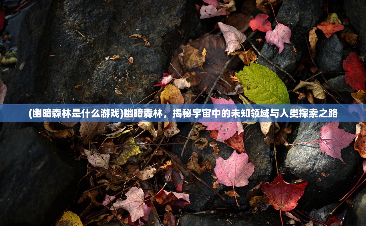 (我的仙门好玩吗)我的仙门阵容搭配，揭秘高效组合策略与实战解析