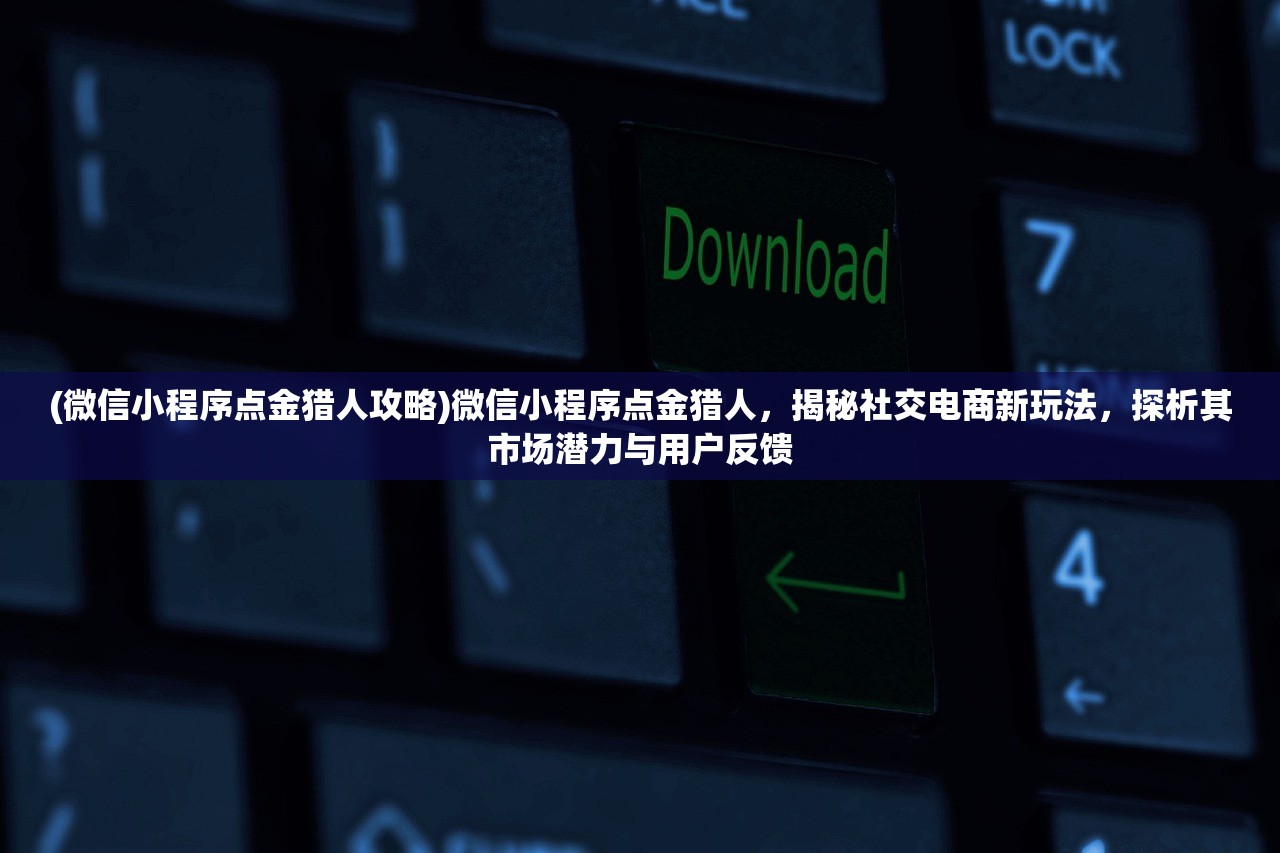 (微信小程序点金猎人攻略)微信小程序点金猎人，揭秘社交电商新玩法，探析其市场潜力与用户反馈