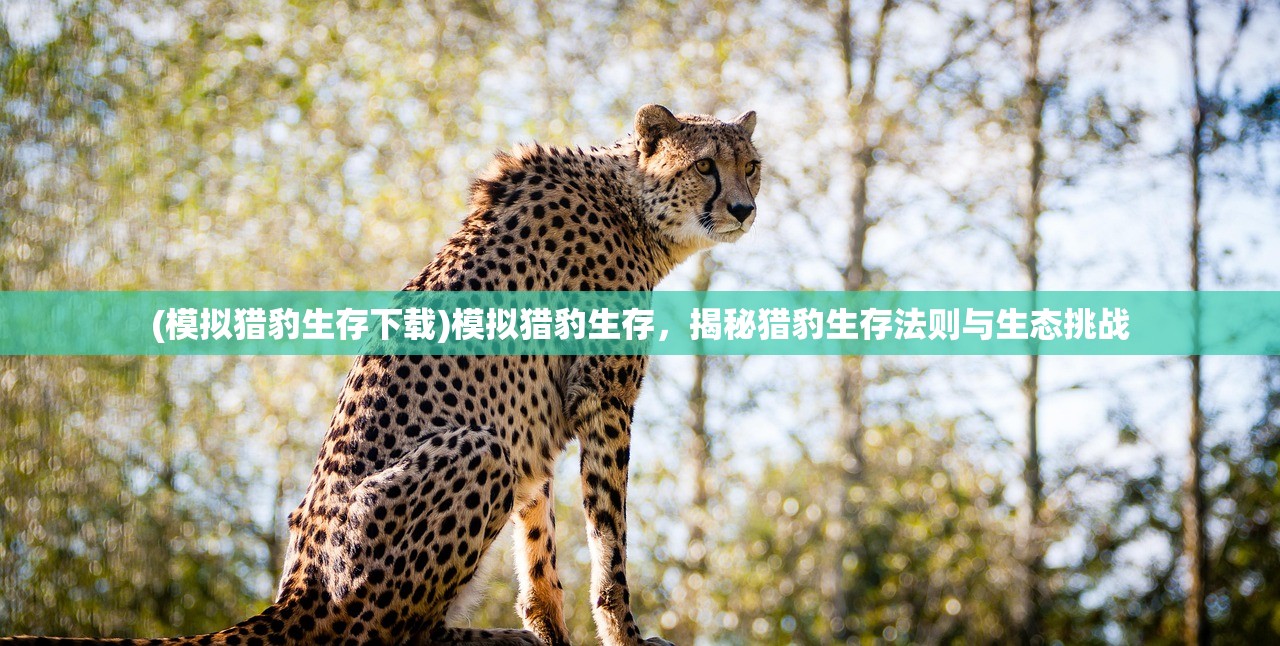 (模拟猎豹生存下载)模拟猎豹生存，揭秘猎豹生存法则与生态挑战