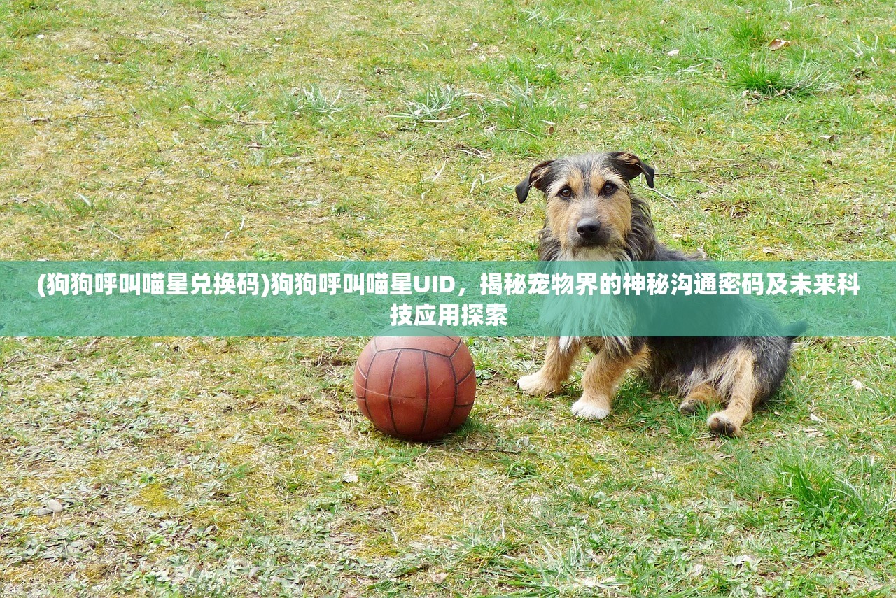 (狗狗呼叫喵星兑换码)狗狗呼叫喵星UID，揭秘宠物界的神秘沟通密码及未来科技应用探索