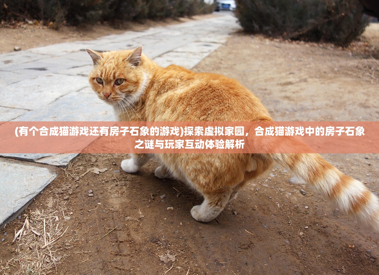 (有个合成猫游戏还有房子石象的游戏)探索虚拟家园，合成猫游戏中的房子石象之谜与玩家互动体验解析