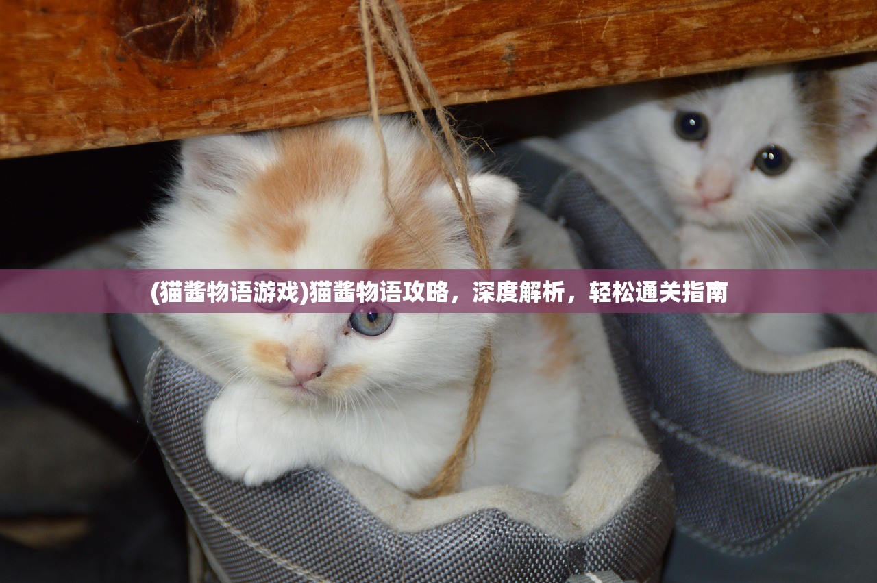 (猫酱物语游戏)猫酱物语攻略，深度解析，轻松通关指南