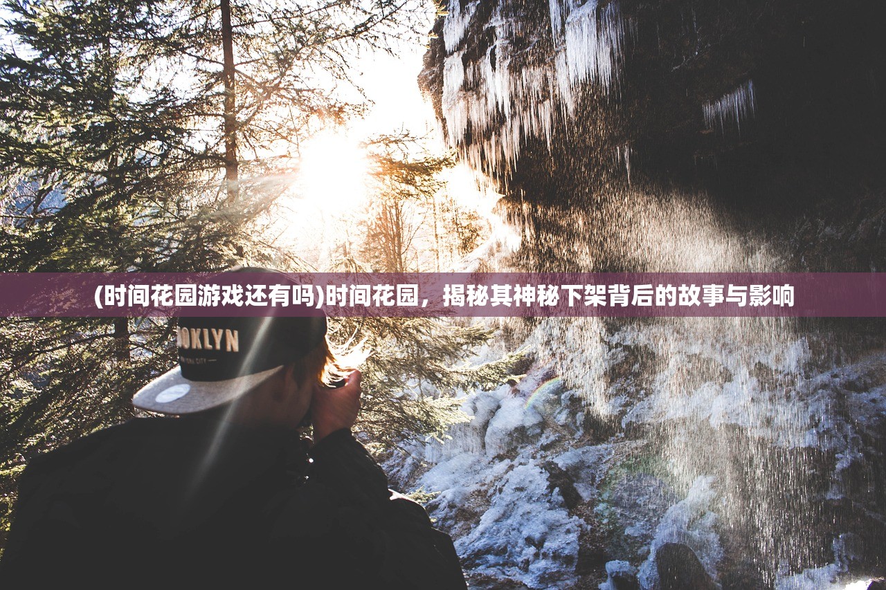 (时间花园游戏还有吗)时间花园，揭秘其神秘下架背后的故事与影响