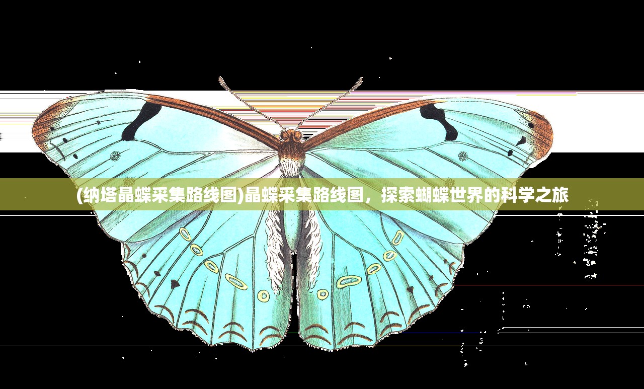 (纳塔晶蝶采集路线图)晶蝶采集路线图，探索蝴蝶世界的科学之旅