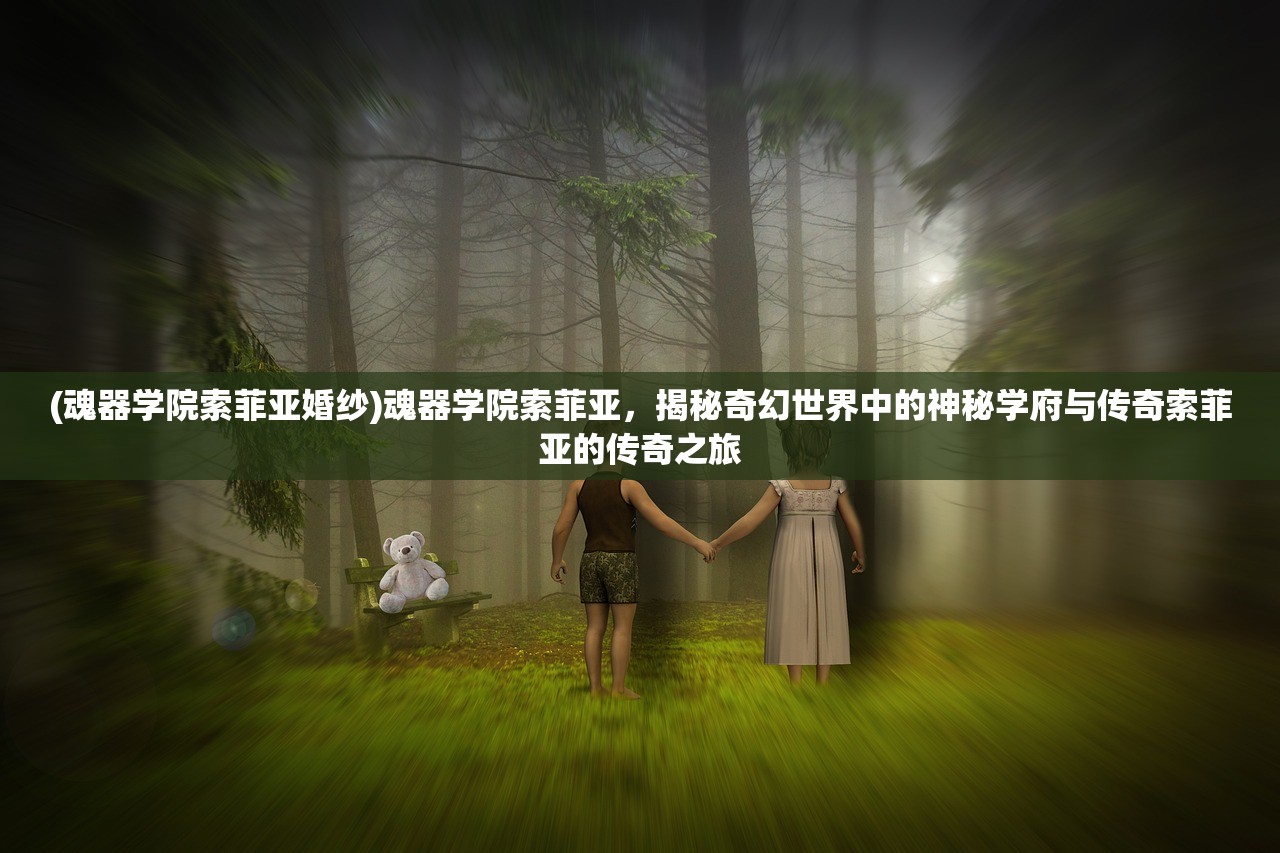 (魂器学院索菲亚婚纱)魂器学院索菲亚，揭秘奇幻世界中的神秘学府与传奇索菲亚的传奇之旅