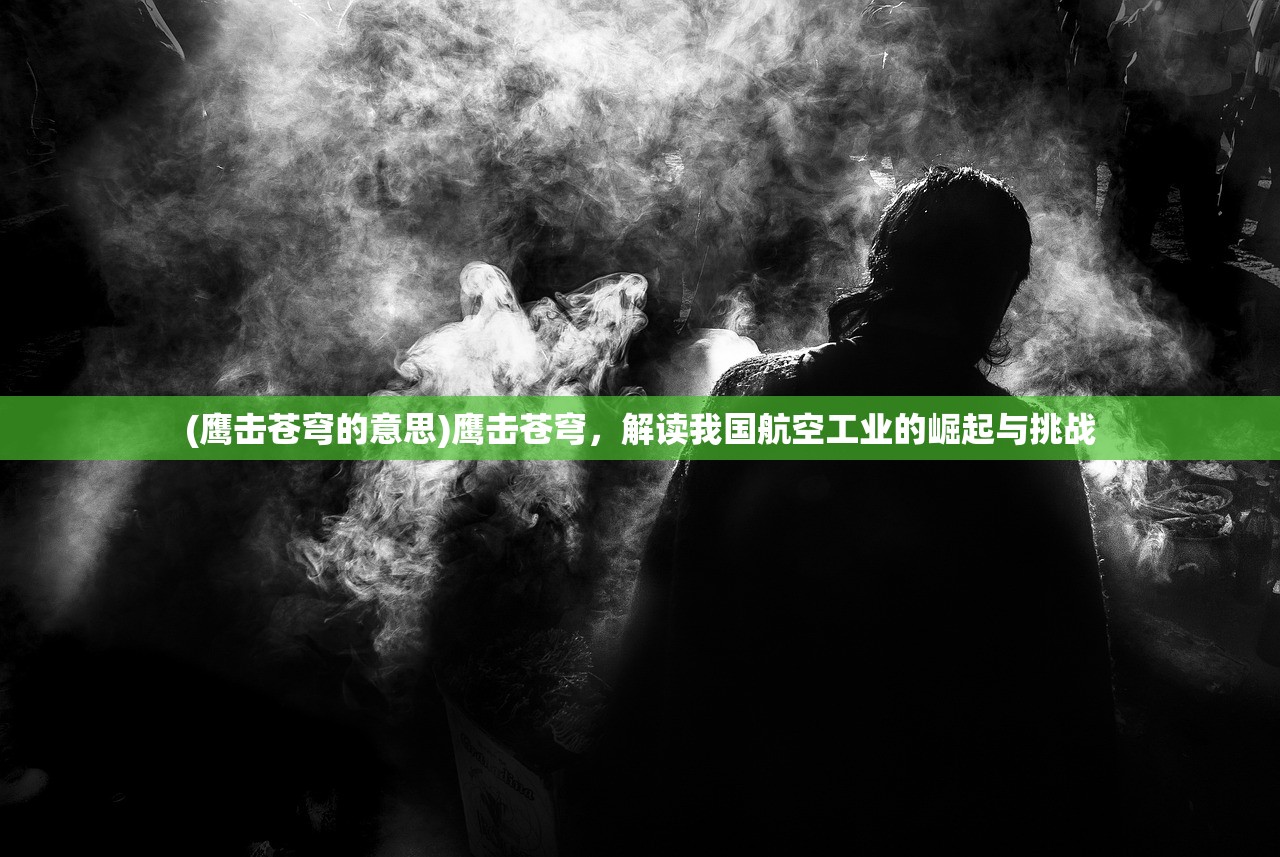 (鹰击苍穹的意思)鹰击苍穹，解读我国航空工业的崛起与挑战