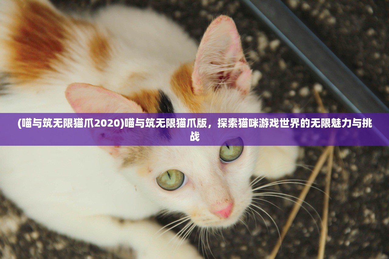 (喵与筑无限猫爪2020)喵与筑无限猫爪版，探索猫咪游戏世界的无限魅力与挑战