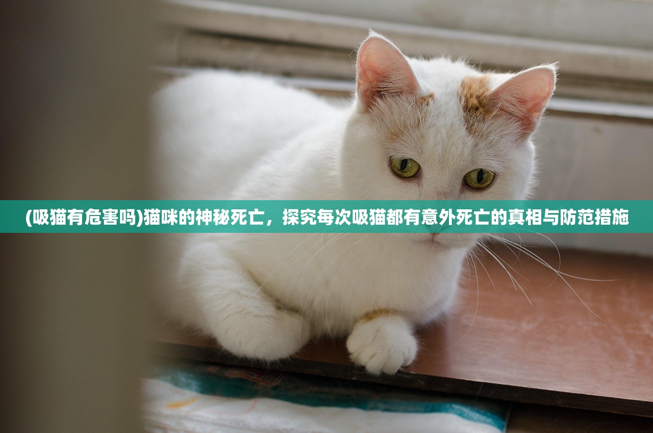 (吸猫有危害吗)猫咪的神秘死亡，探究每次吸猫都有意外死亡的真相与防范措施