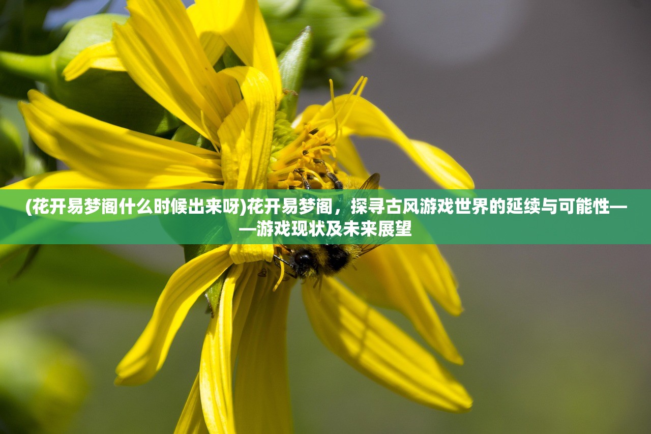 (花开易梦阁什么时候出来呀)花开易梦阁，探寻古风游戏世界的延续与可能性——游戏现状及未来展望