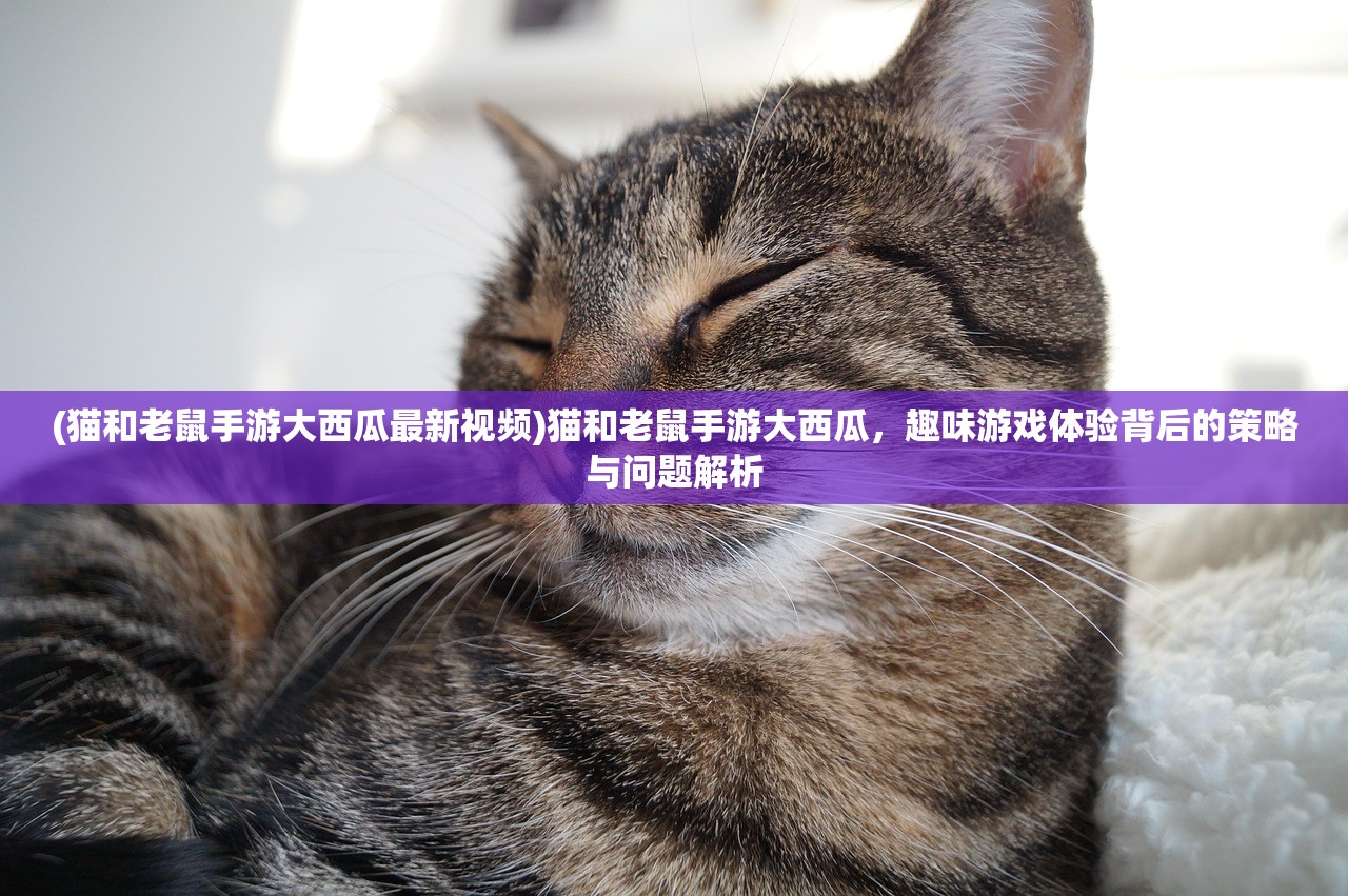 (猫和老鼠手游大西瓜最新视频)猫和老鼠手游大西瓜，趣味游戏体验背后的策略与问题解析