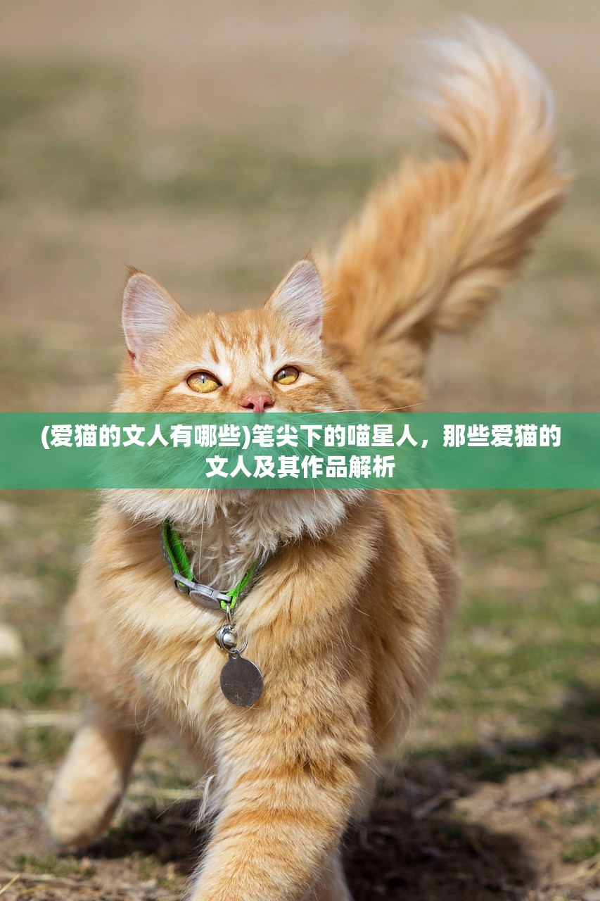 (爱猫的文人有哪些)笔尖下的喵星人，那些爱猫的文人及其作品解析