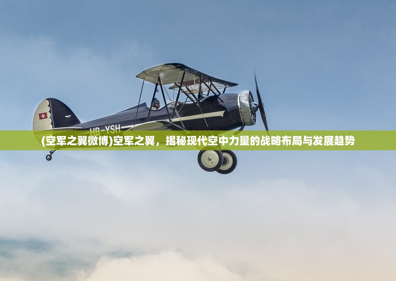 (空军之翼微博)空军之翼，揭秘现代空中力量的战略布局与发展趋势