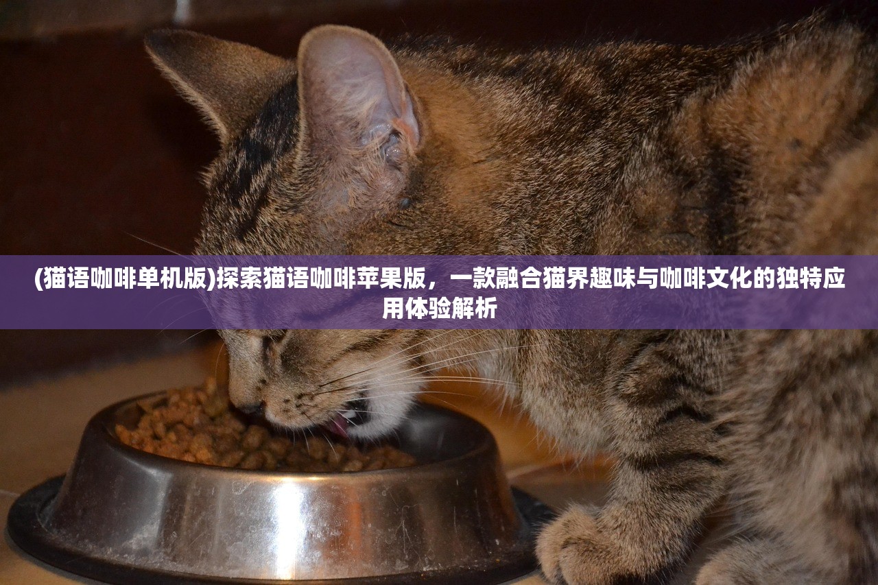 (猫语咖啡单机版)探索猫语咖啡苹果版，一款融合猫界趣味与咖啡文化的独特应用体验解析